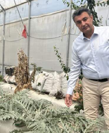 Niğde ve Aksaray’dan getirildi, Türkiye’ye örnek oldu! Yurt dışı bağımlılığı bitiyor: Verimi bol kazancı yüksek