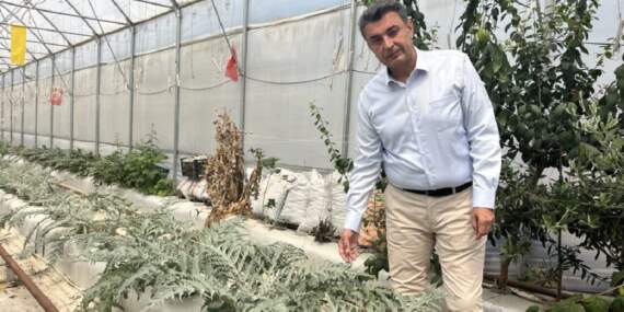 Niğde ve Aksaray’dan getirildi, Türkiye’ye örnek oldu! Yurt dışı bağımlılığı bitiyor: Verimi bol kazancı yüksek