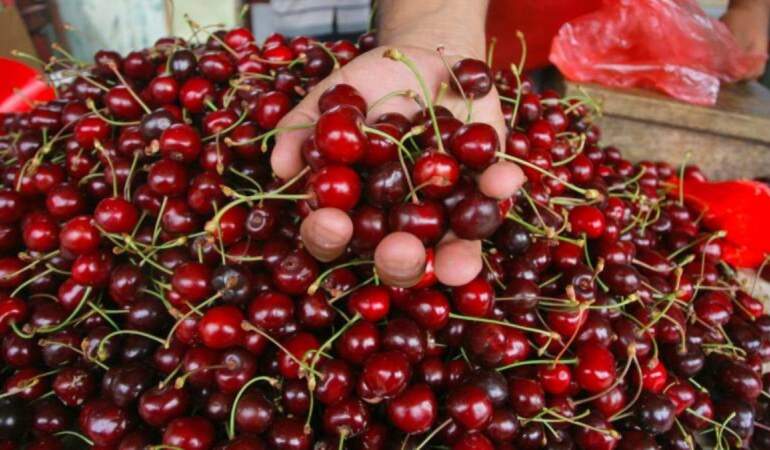 İstanbul’da haziran ayının zam şampiyonu kiraz oldu