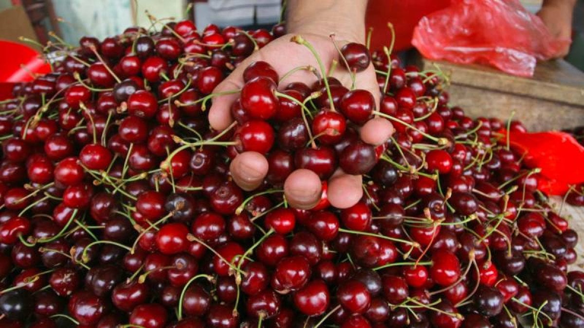 İstanbul’da haziran ayının zam şampiyonu kiraz oldu