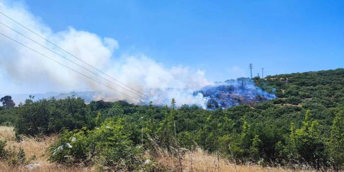 Bursa'nın 2 ilçesinde orman yangını