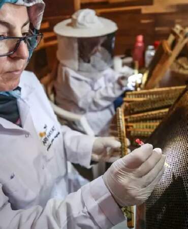 4 çift bir araya geldi hepsinin yeni mesleği oldu! Kilosu 45.000 TL ediyor: Bir kaşığına bile talep patlıyor