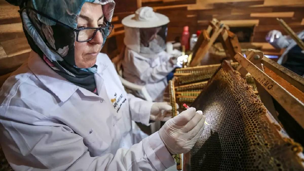 4 çift bir araya geldi hepsinin yeni mesleği oldu! Kilosu 45.000 TL ediyor: Bir kaşığına bile talep patlıyor