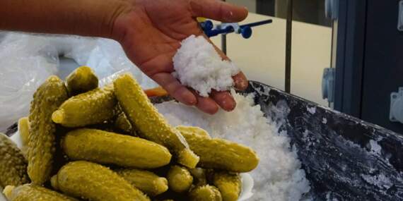 Bu tuzla kurulan turşular sadece lezzetli değil, adeta vitamin deposu! Özel üretiliyor: Turşuyu başka boyuta taşıyor