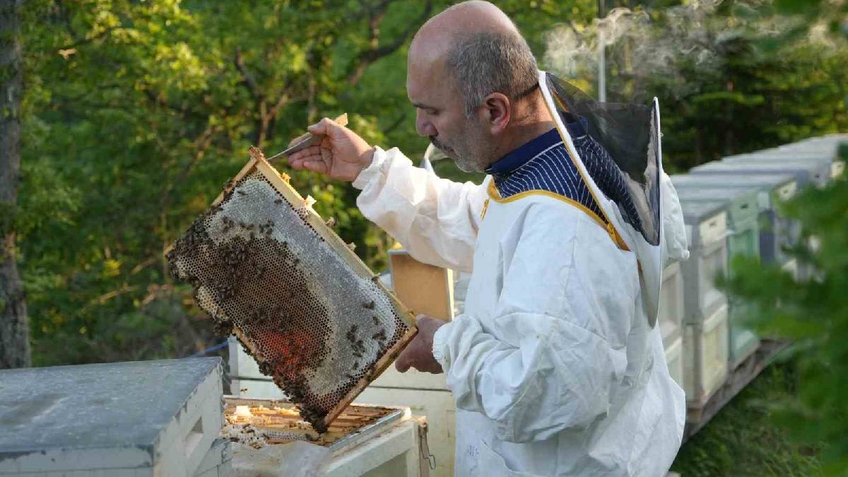 Şifa saçıyor, çok seviliyor! Tüketirken dikkat istiyor: Kilosu 3.000 TL’den satılıyor