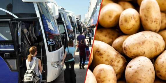 Haziranda fiyatı en çok artan ve düşen ürünler belli oldu
