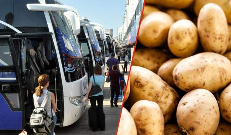 Haziranda fiyatı en çok artan ve düşen ürünler belli oldu