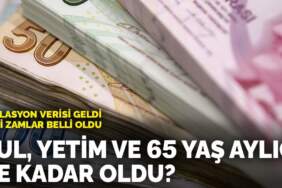 Temmuz zammıyla yeni maaşlar belli oldu! Dul, yetim ve 65 yaş aylıkları ne kadar oldu?