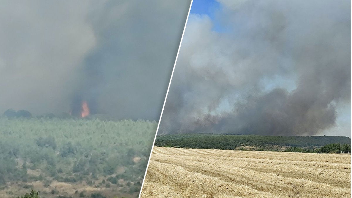 Korkulan oldu! Yangınlar İstanbul’a da sıçradı: Silivri alev alev, uçaklar havada!