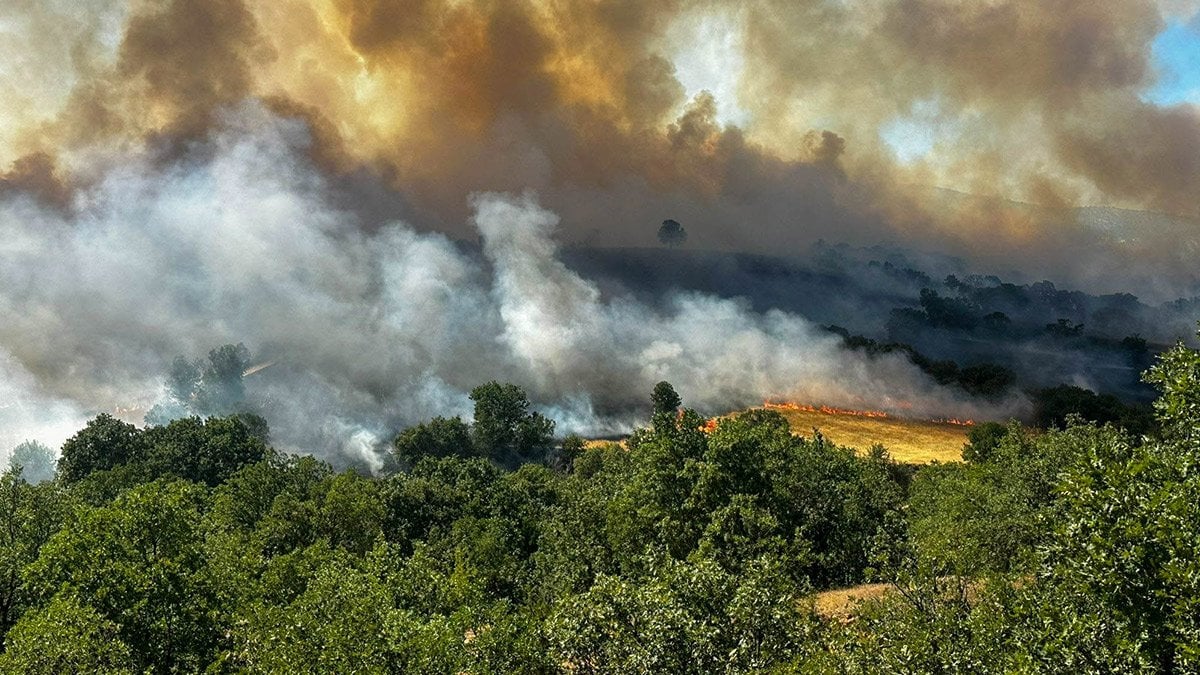 Uşak’ta tarım arazisinde başlayan yangın meşelik alana sıçradı