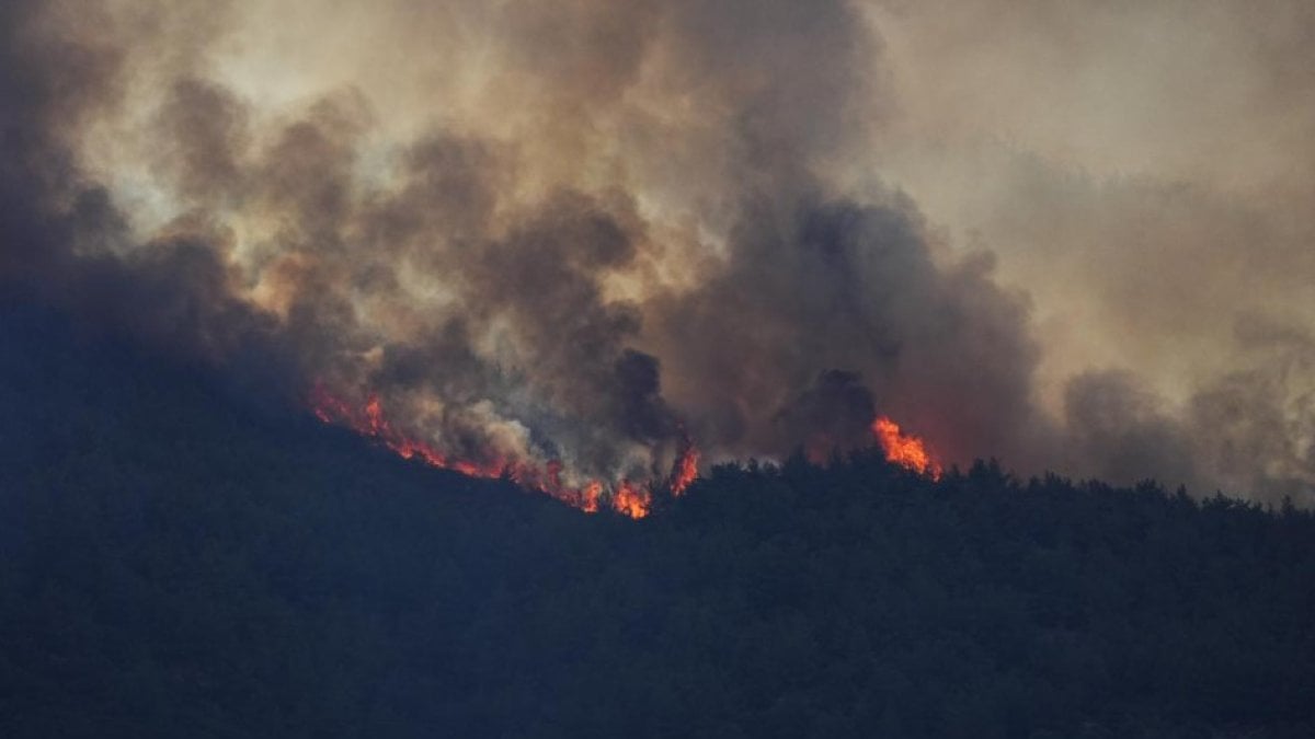 Yumaklı duyurdu: Orman işçisi İbrahim Demir şehit oldu