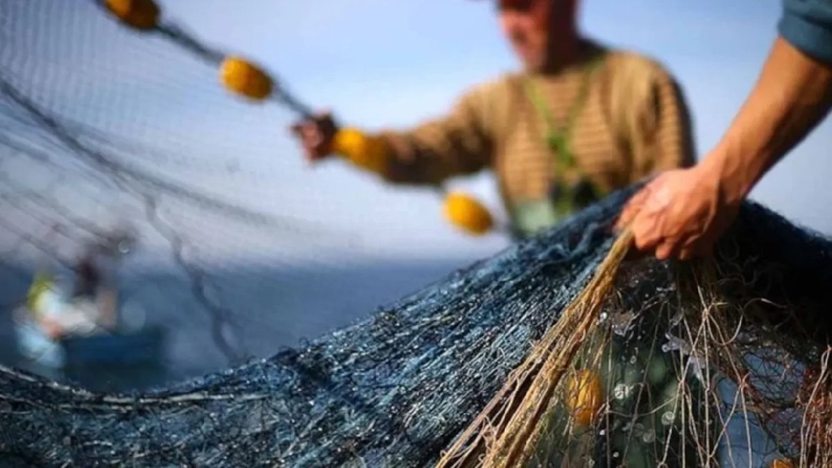 200 kilo çıkıyordu, 36 tona yükseldi! Denizler bereket yağdırıyor: Siparişlerin ardı arkası kesilmedi