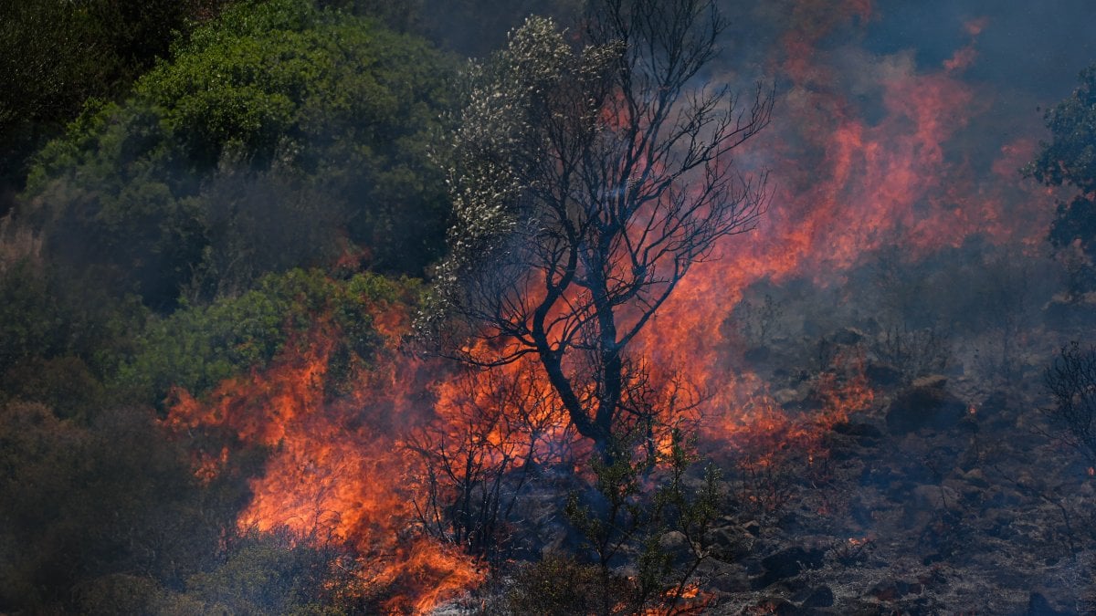 İzmir sabaha kadar yandı: Ödemiş, Buca ve Çeşme’de son durum