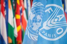Türkiye, FAO Konsey Üyeliğine seçildi