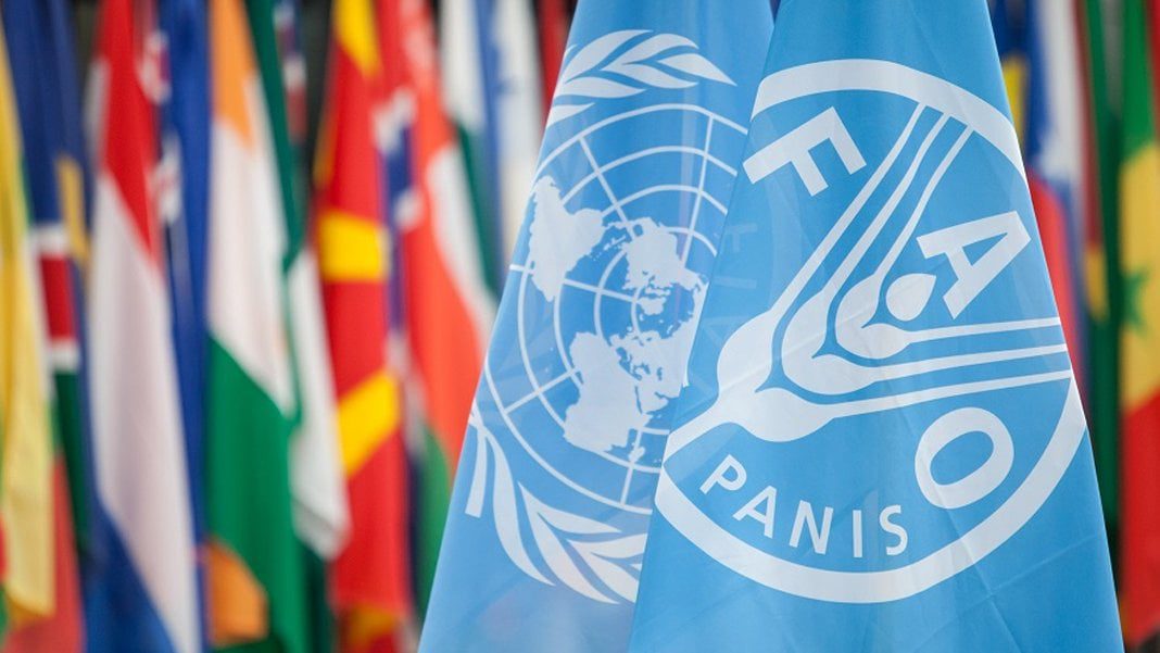 Türkiye, FAO Konsey Üyeliğine seçildi