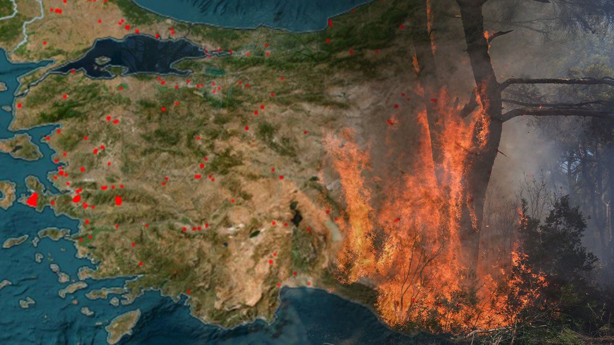942 hektar orman kül oldu: Dehşetin boyutu NASA uydularına da yansıdı