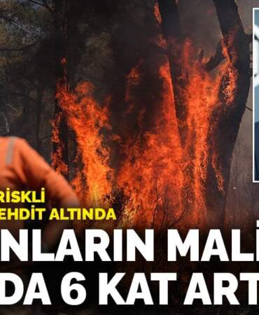 Allianz: Yangınların maliyeti 10 yılda 6 kat arttı