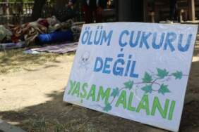 Üreticilerden Meclis’in yanında ‘zeytinlik’ nöbeti: Düzenleme doğayı, tarımı ve yaşam alanlarını yok edecek