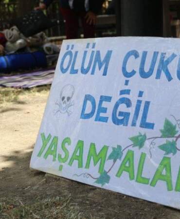 Üreticilerden Meclis’in yanında ‘zeytinlik’ nöbeti: Düzenleme doğayı, tarımı ve yaşam alanlarını yok edecek