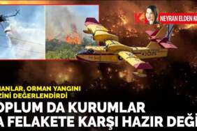 Uzmanlar, orman yangını krizini değerlendirdi: Toplum da kurumlar da felakete karşı hazır değil