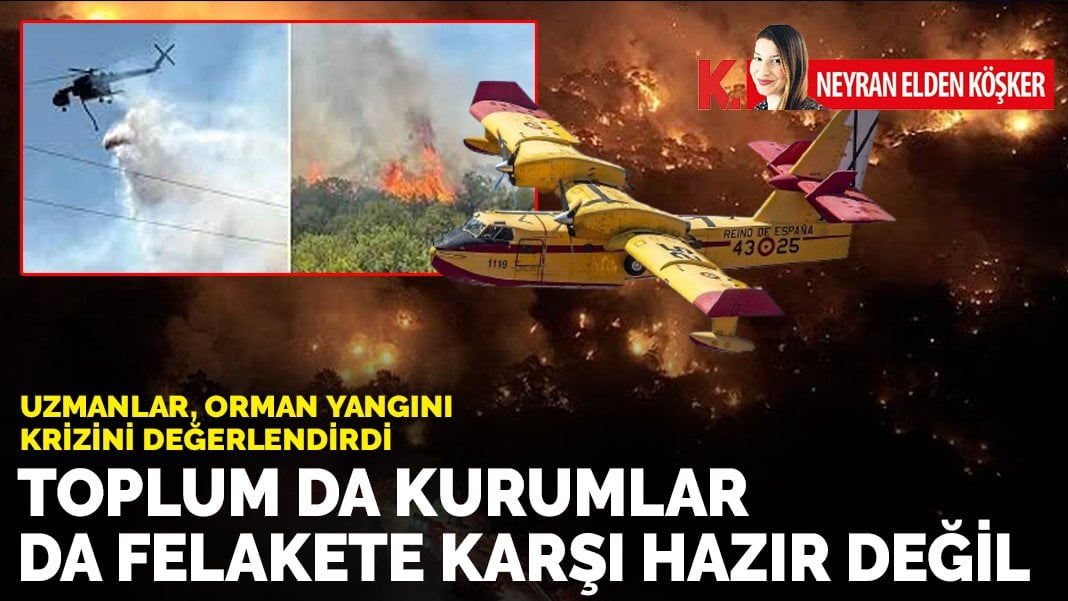 Uzmanlar, orman yangını krizini değerlendirdi: Toplum da kurumlar da felakete karşı hazır değil