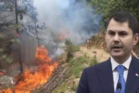 Kurum: 8 ilde 1168 bina yangınlardan etkilendi