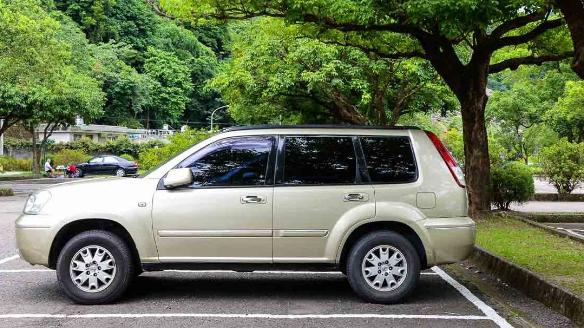 Aracınızı bu ağaçların altına park etmeden önce iki kez düşünün: Gölge arayışı pahalıya patlayabilir: Değer kaybına neden oluyor