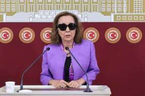 Serap Yazıcı Özbudun’dan eleştirilere yanıt: Oyları CHP’li olarak değil, alın terimle aldım