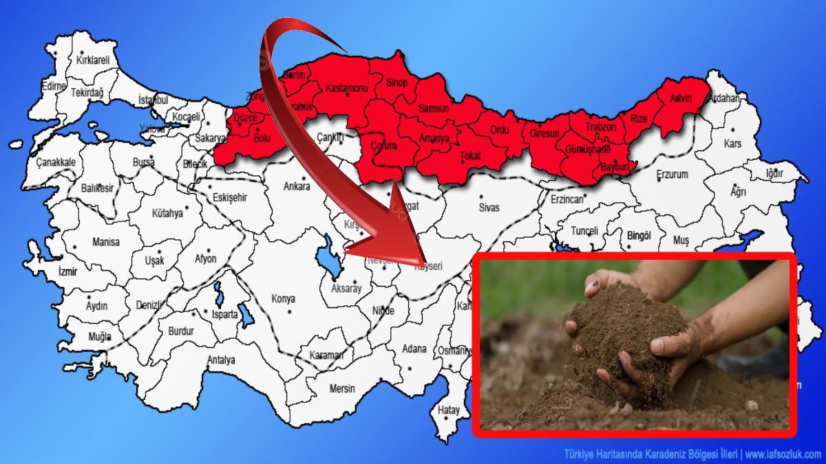 Karadeniz’de korkutan uyarı! Ünlü Profesör açıkladı: ‘Toprağın altındaki sinsi tehlike kanser saçıyor!’İşte risk altındaki iller