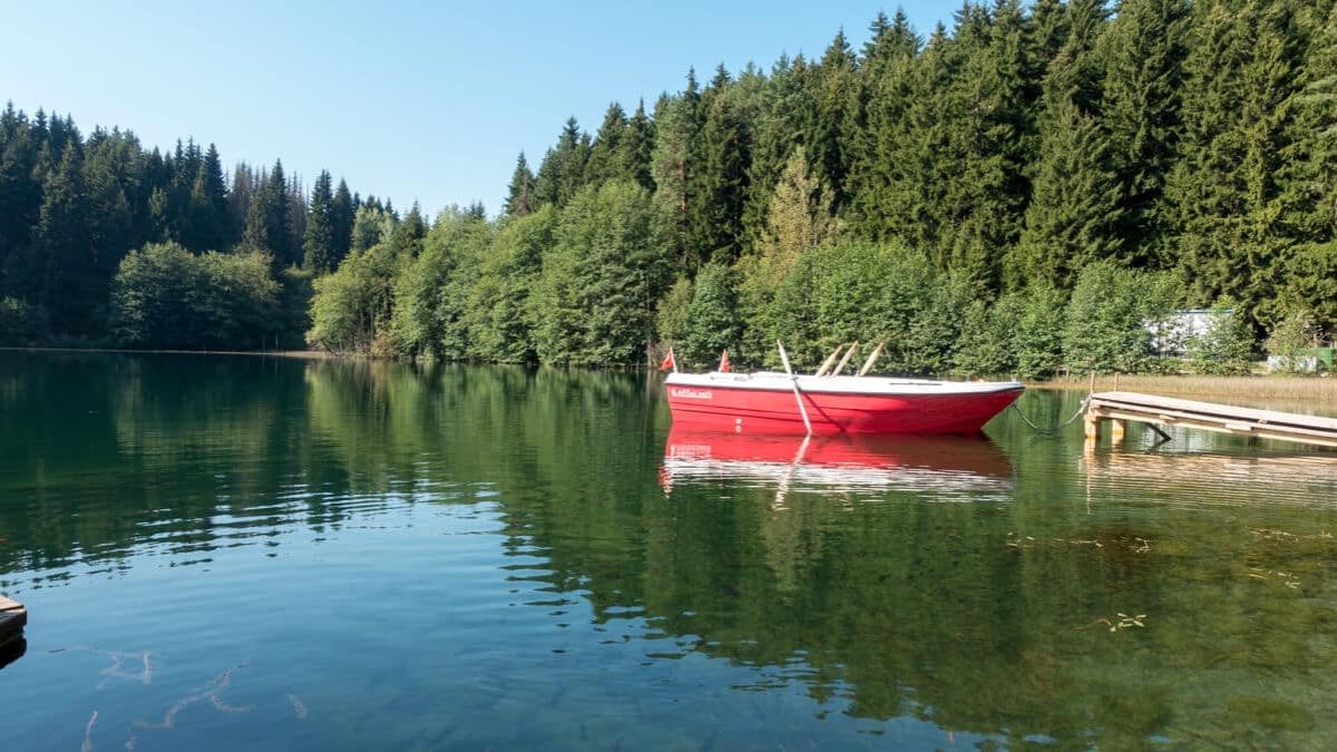 Vizesiz mini İsviçre! Şavşat Sahara: Türkiye’nin İsviçre’si gibi sessiz