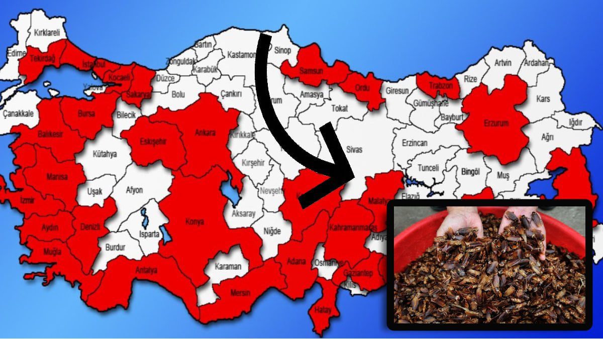 2025 yılının en büyük sorunu! Her yerden fışkırıyor, evleri istila ediyor! Temizlik bile çözüm değil