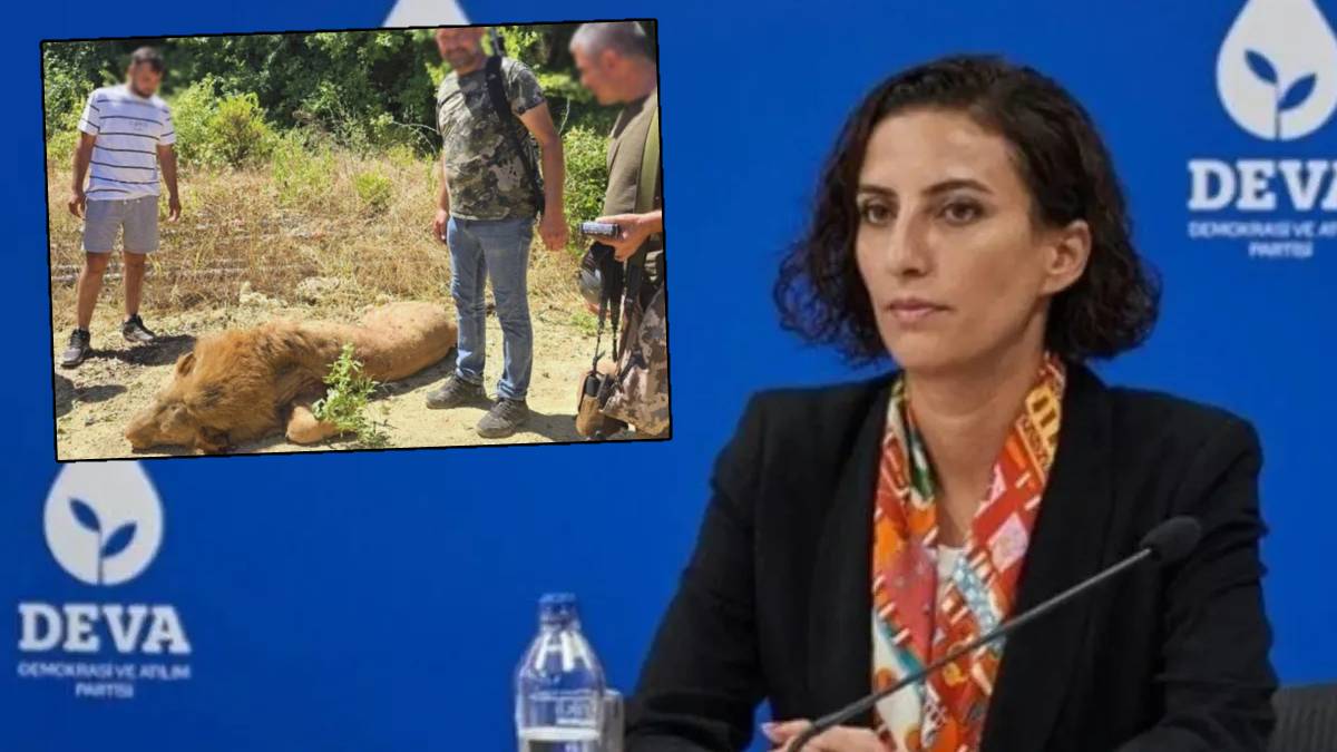 Zeus’un Ölümü Meclis gündeminde: Ne vatandaşı korudular, ne de aslanı yaşattılar