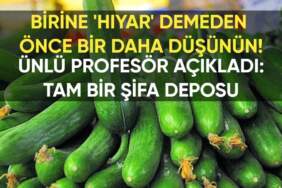 “Birine ‘hıyar’ demeden önce bir daha düşünün!” Ünlü Profesör açıkladı: O sadece bir sebze değil, tam bir şifa deposu!