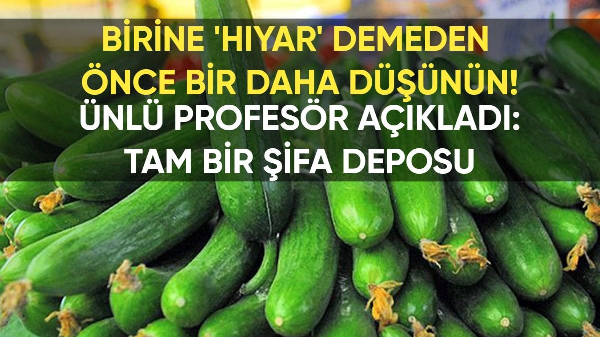 “Birine ‘hıyar’ demeden önce bir daha düşünün!” Ünlü Profesör açıkladı: O sadece bir sebze değil, tam bir şifa deposu!