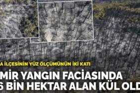 İzmir yangın faciasında 26 bin hektar alan kül oldu: Buca ilçesinin yüz ölçümünün iki katı