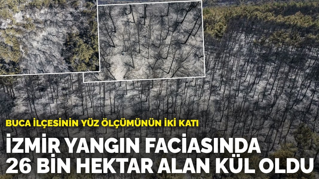 İzmir yangın faciasında 26 bin hektar alan kül oldu: Buca ilçesinin yüz ölçümünün iki katı