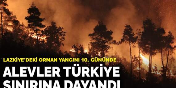 Lazkiye’deki orman yangını 10. gününde: Alevler Türkiye sınırına dayandı