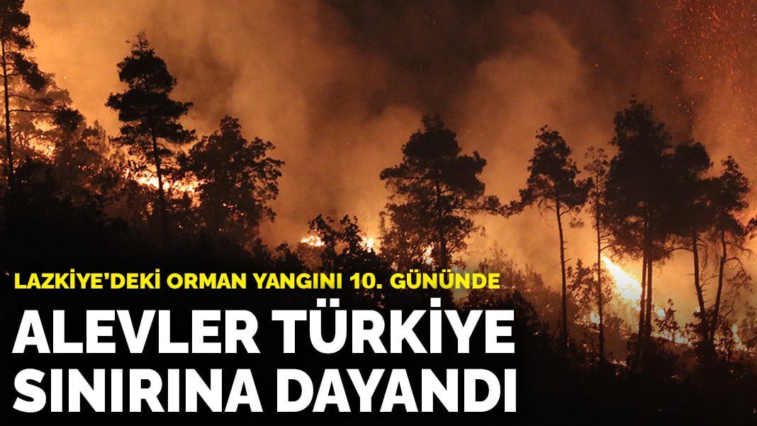 Lazkiye’deki orman yangını 10. gününde: Alevler Türkiye sınırına dayandı