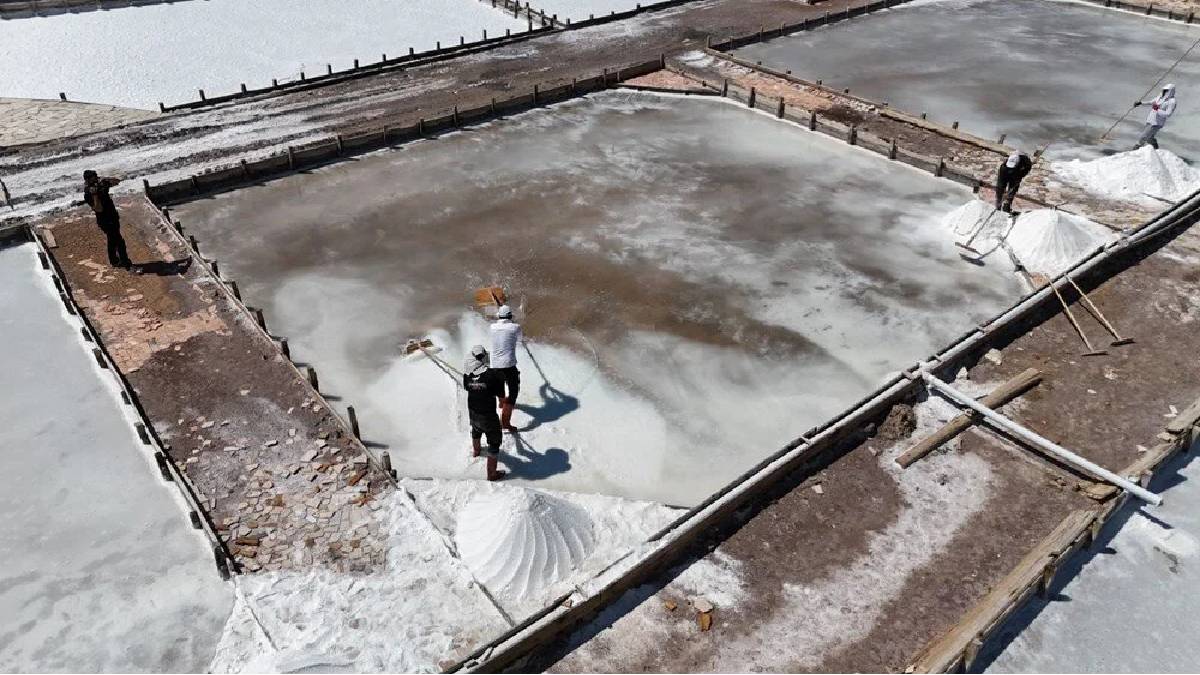 Geleneksel üretim 200 yıldır sürüyor! 7 metrelik derinlikten çıkıyor, mineral saçıyor: Bu hasat çok konuşuluyor