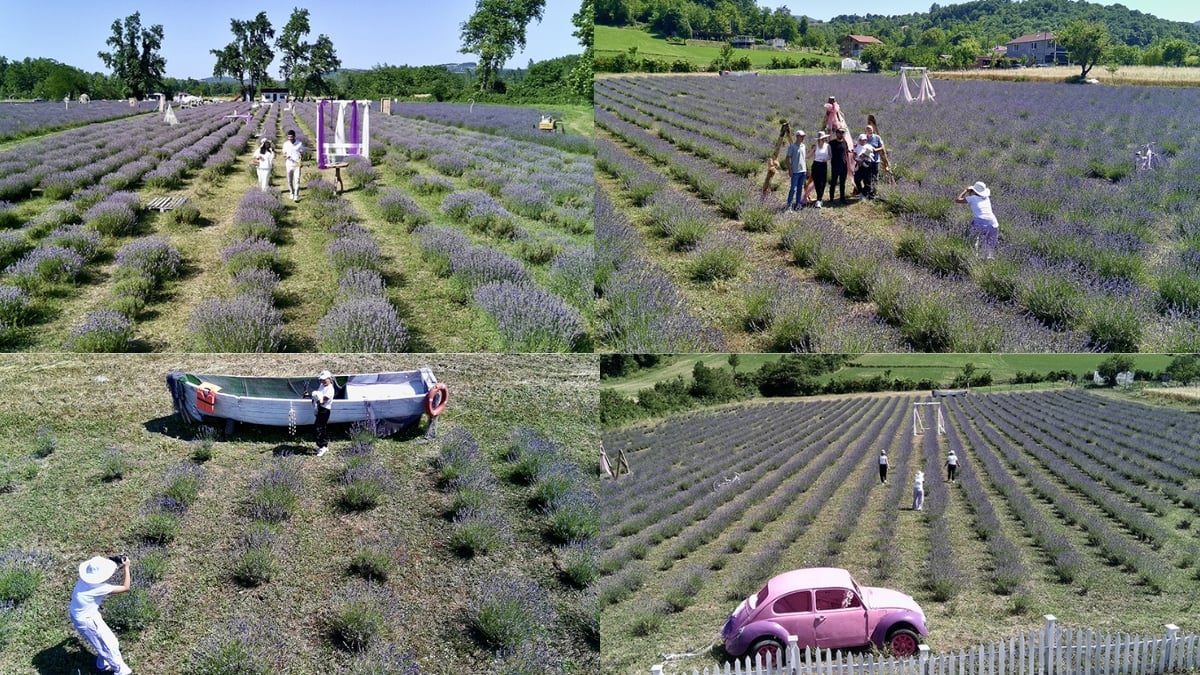 Toprak değil adeta altın! Sinoplu kadınların ektiği bitki para basıyor: Hem satın alıyorlar hem fotoğraf çekiyorlar