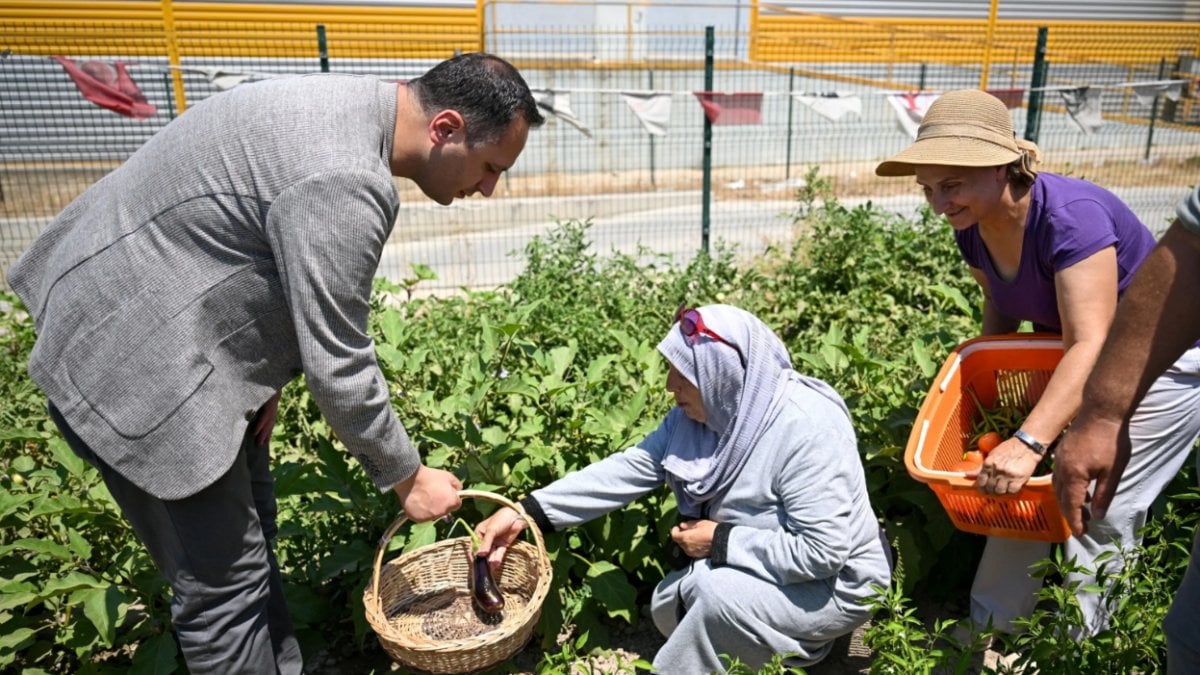 Belediye kurdu, kadınlar ekti! “Kent Bostanları”nda hasat başladı