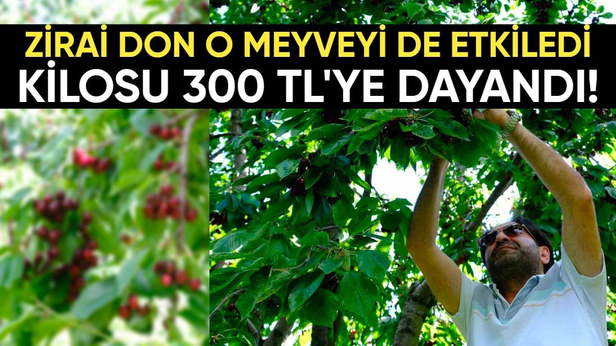 Zirai don rekolteyi düşürdü! Üreticiyi üzen hasat: Marketlerde kilosu 300 TL’ye kadar çıktı