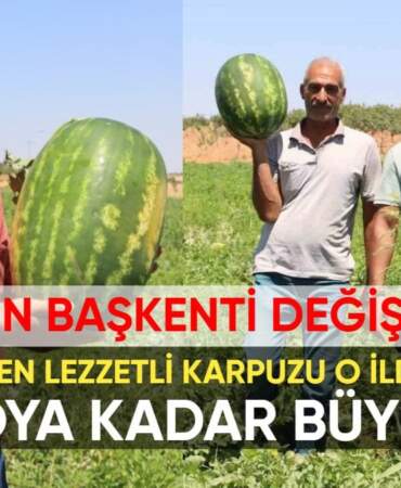 Türkiye’nin en lezzetli karpuzu meğer Adana değil, bu ildeymiş! Hem sulu hem de kan kırmızısı: 20 kiloya kadar büyüyor