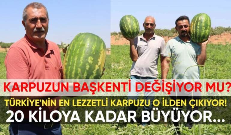 Türkiye’nin en lezzetli karpuzu meğer Adana değil, bu ildeymiş! Hem sulu hem de kan kırmızısı: 20 kiloya kadar büyüyor