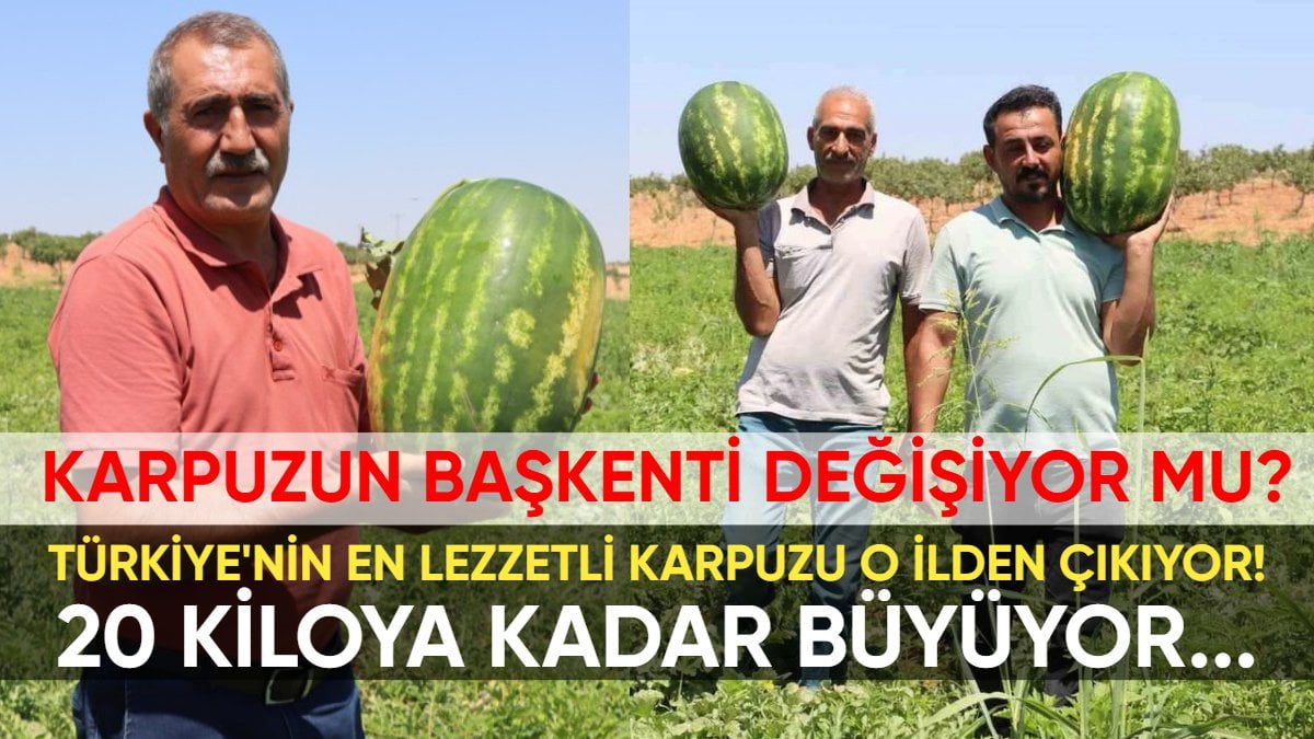 Türkiye’nin en lezzetli karpuzu meğer Adana değil, bu ildeymiş! Hem sulu hem de kan kırmızısı: 20 kiloya kadar büyüyor