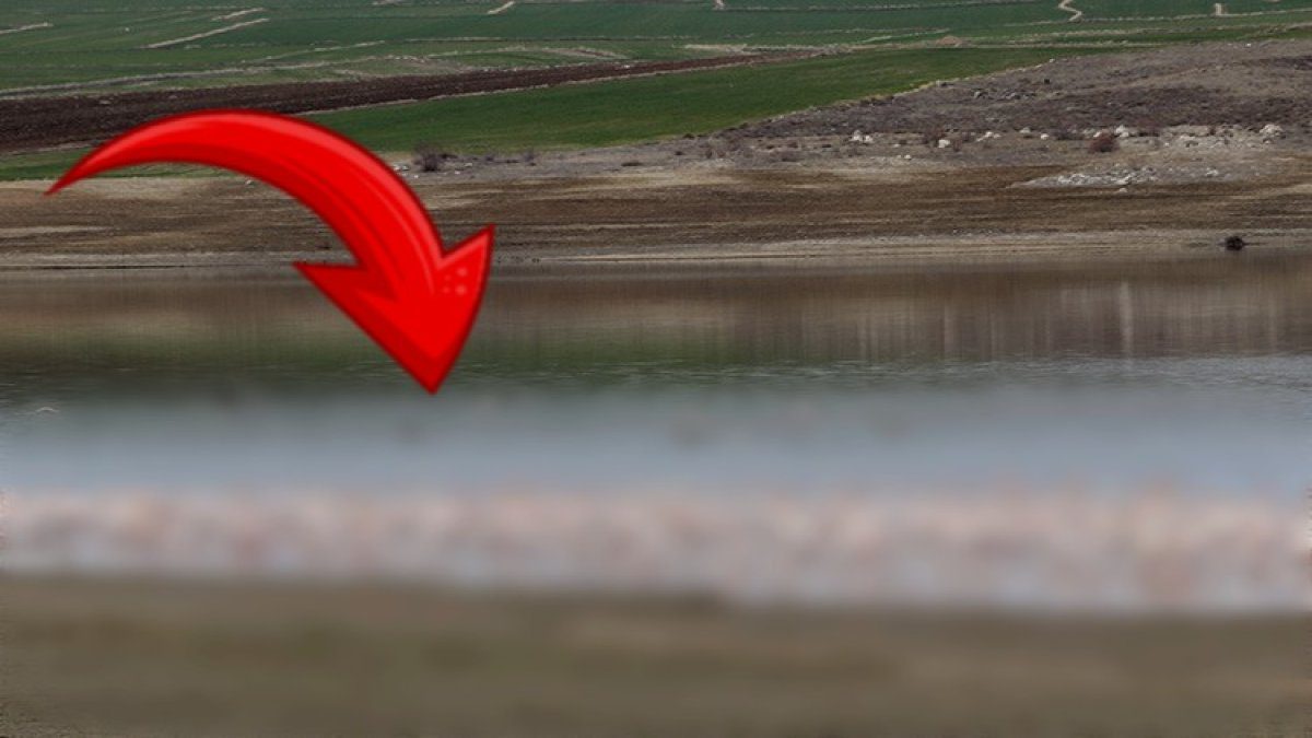 Yozgat’ın barajı bir anda pembeye büründü! Her yıl binlercesi geliyor: Görmek isteyen oraya koşacak