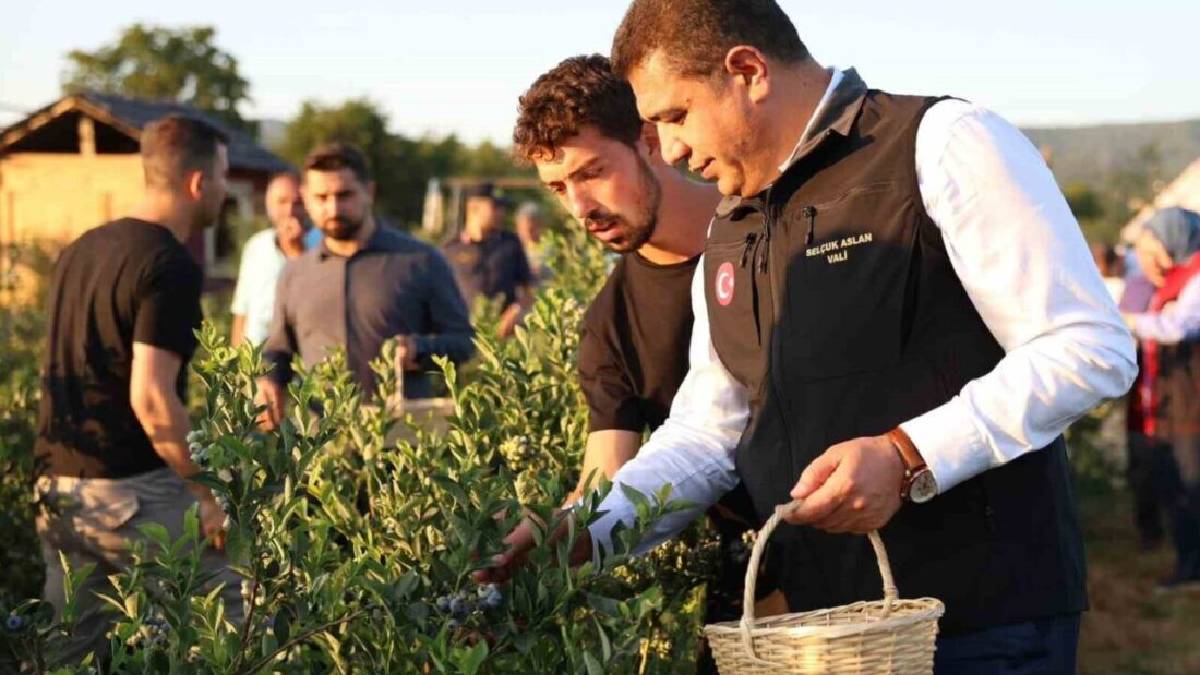 Tavsiyeyle başladı, bölgede kimsenin yapmadığını yaptı! 22 yaşındaki öğrenciden büyük başarı: 20 dönümde üretiyor