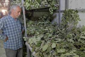 3 aileyle başladı 150 aileye ulaştı! Ayda 100 bin TL getiri sağlıyor, kısa sürede çok kazandırıyor