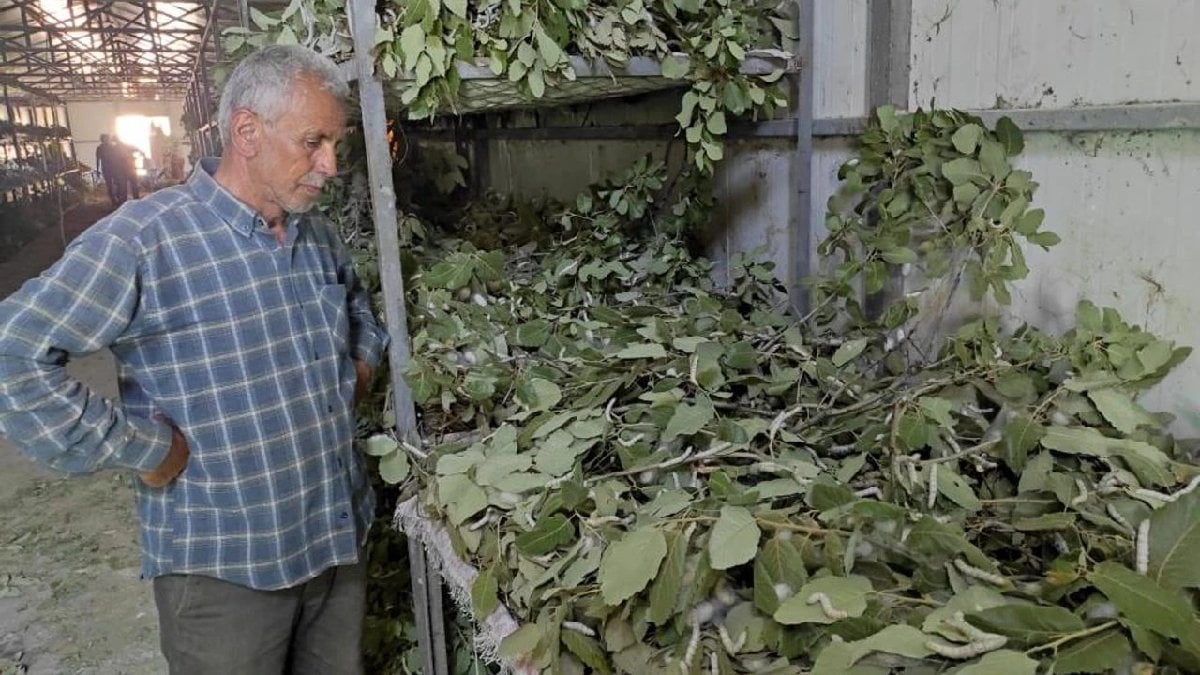 3 aileyle başladı 150 aileye ulaştı! Ayda 100 bin TL getiri sağlıyor, kısa sürede çok kazandırıyor