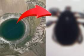 Yazın uğrak noktasıydı! Keneler yüzünden boş kaldı: Artık kimse gitmiyor